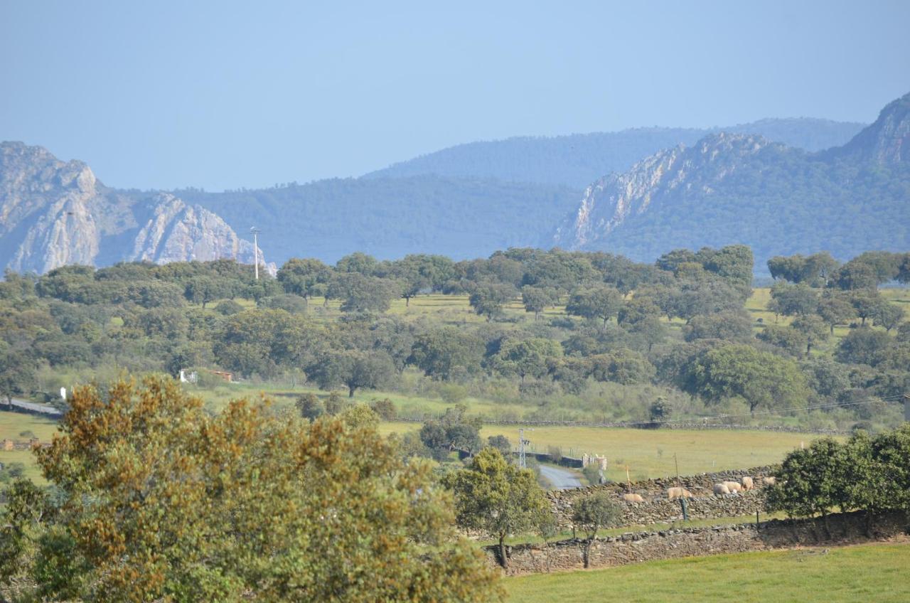 Alojamiento La Canada Monfrague Torrejón el Rubio Esterno foto