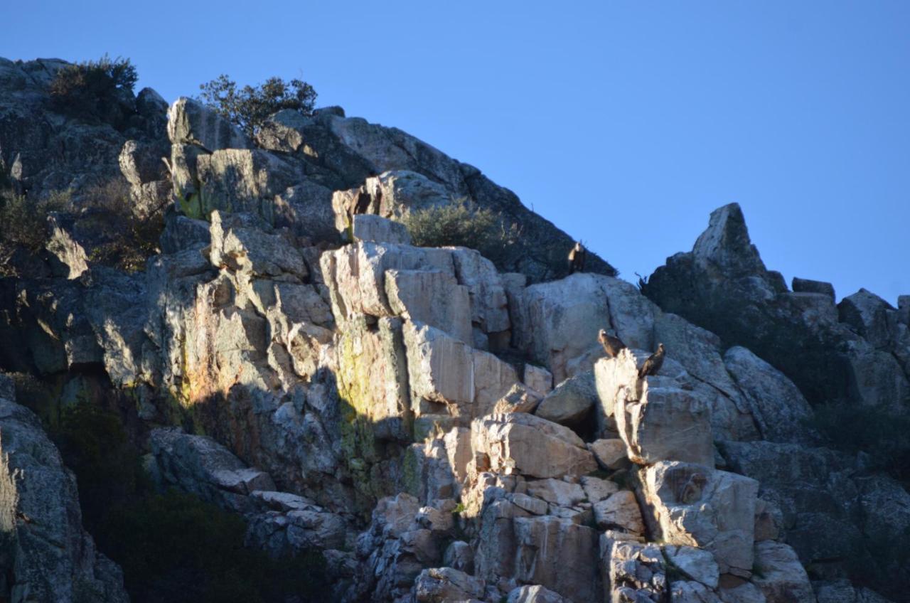 Alojamiento La Canada Monfrague Torrejón el Rubio Esterno foto