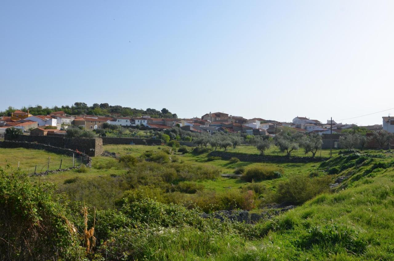 Alojamiento La Canada Monfrague Torrejón el Rubio Esterno foto